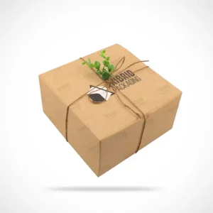 Custom Eco Friendly Gift Boxes